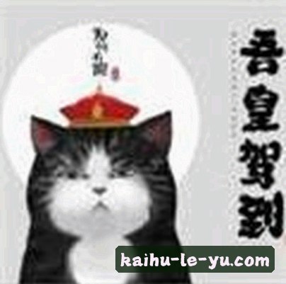 赵少